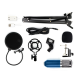 BM800 Condenser Microphone  Mic Kit LIve Studio Sound