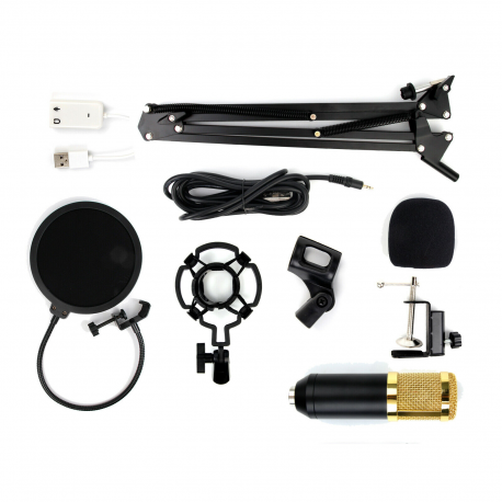 Condenser Microphone Mic Kit Live Studio Sound Recording Mount Boom Stand