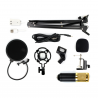 Condenser Microphone Mic Kit Live Studio Sound Recording Mount Boom Stand