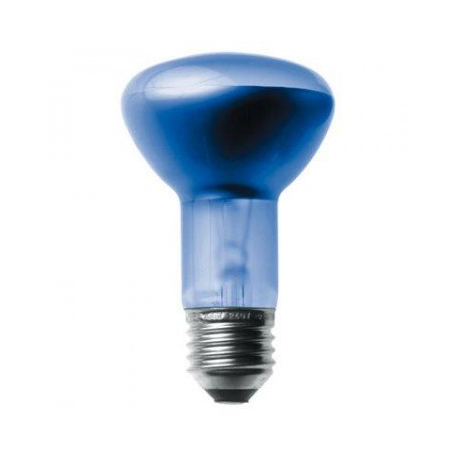 Daylight R63 60w ES Spotlight Bulb