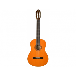 Washburn Classical C5 Nylon Acoustic Guitar