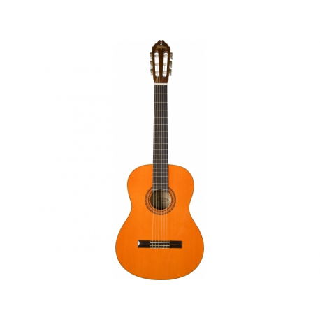 Washburn Classical C5 Nylon Acoustic Guitar