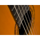 Washburn Classical C5 Nylon Acoustic Guitar